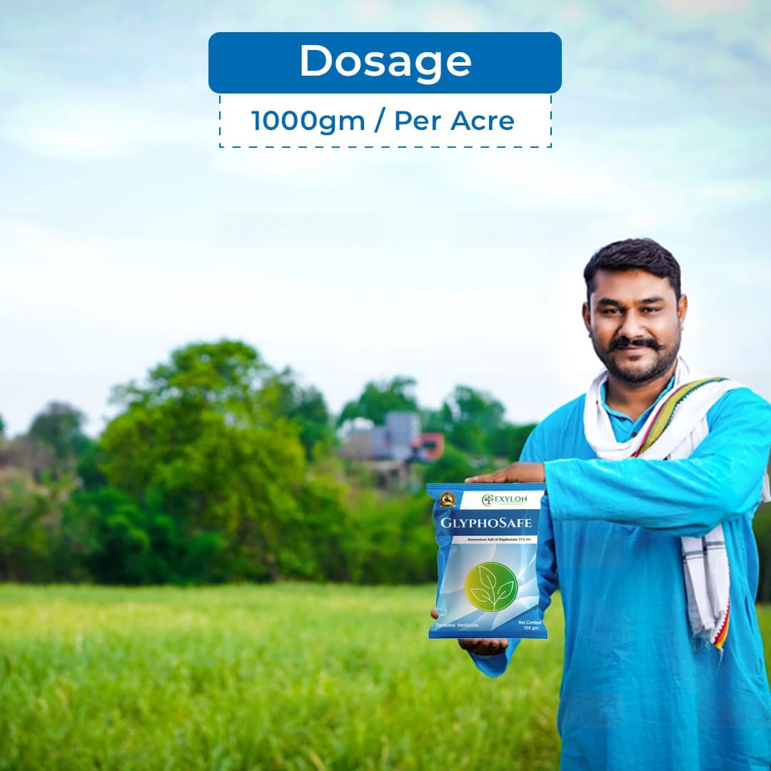 Exylon GlyphoSafe Ammonium Salt of Glyphosate 71% SG Herbicide, Effective Weeds Control In Multiple Crops - Image 5