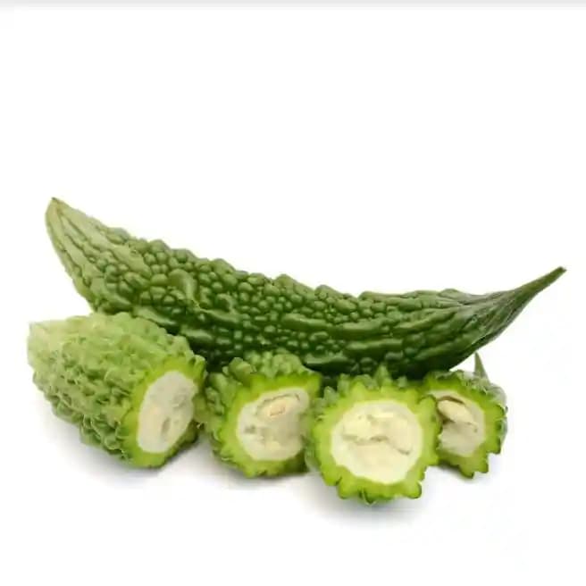 Jivit Hybrid F1 JS 7748 Bitter Gourd Seeds. Sharp Candle Drop Like Fruit with Vigorous Dark Green Colour - Image 7