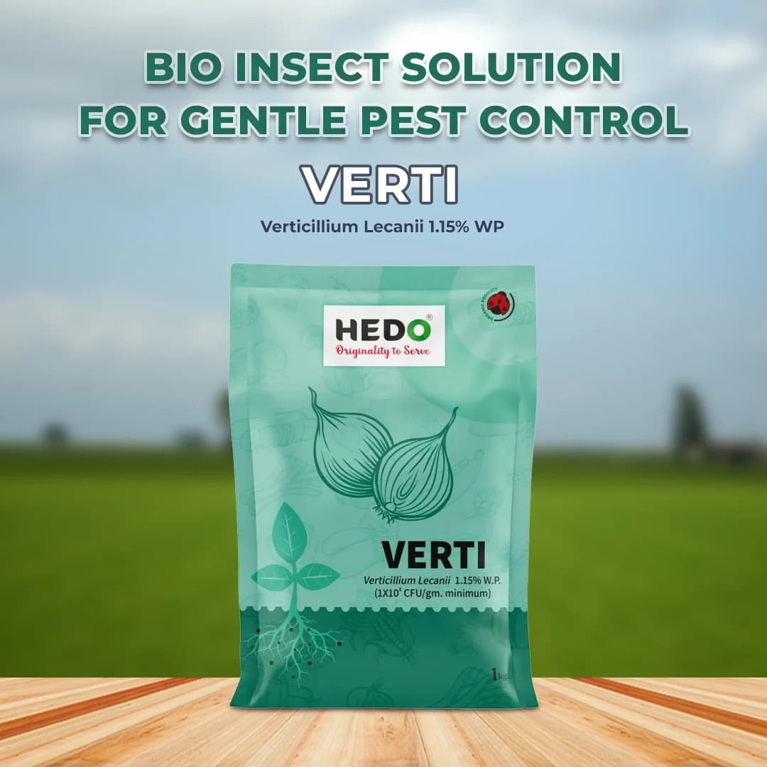 HEDO Verti (Verticillium Lecanii 1.15% Wp) Bio Pesticide, Targets A Wide Range Of Pests Like Aphids, Thrips, Etc - Image 2