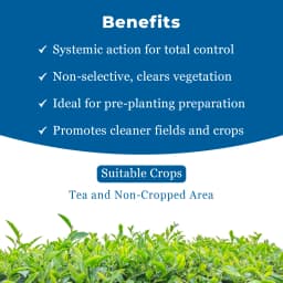 ग्लाइफोस 41 - ग्लाइफोसेट 41% एसएल. खरपतवारनाशी, खरपतवार नियंत्रक, एक्सोनोपस कम्प्रेसस और सिनोडोन डेक्टीलॉन, चाय के लिए उपयोगी। 4