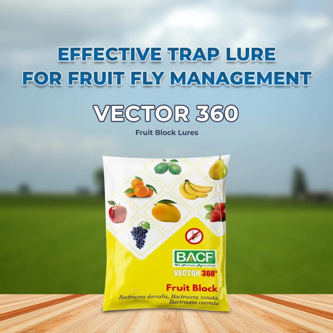 बीएसीएफ वेक्टर 360 फ्रूट ब्लॉक ल्यूर, बैक्ट्रोसेरा डोर्सालिस, बैक्ट्रोसेरा ज़ोनटा, बैक्ट्रोसेरा कोरेक्टा ल्यूर. - Image 2