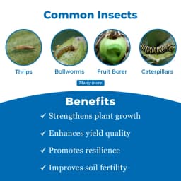 BACF EVOKE - Emamectin Benzoate 5% SG Effective Insecticide , Controls all types of Gardening and Agricultural Insects. 3
