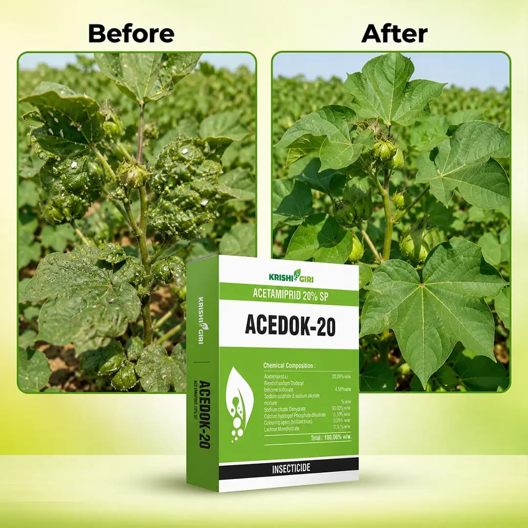 Acedok-20 Insecticide - Acetamiprid 20% SP - Image 3