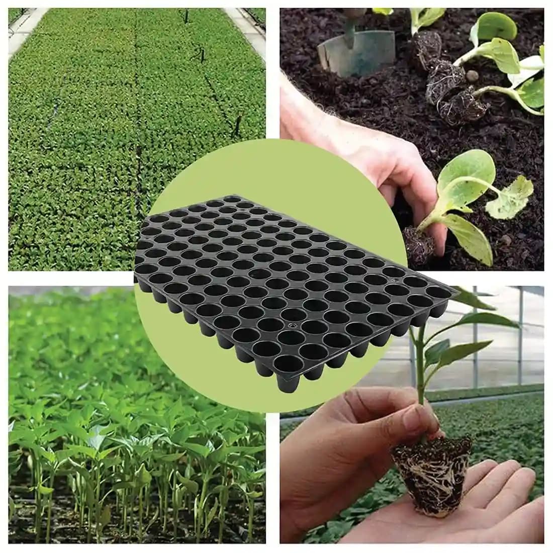 Siddhi Plastic Seedling Nursery Tray , Best Quality, Single Time Use Only and Boosts Productivity. - Image 6