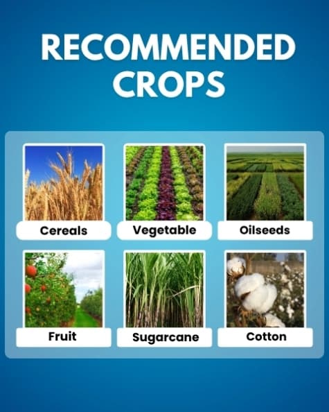 Katyayani Pro Grow - Plant Growth Regulator - Image 4