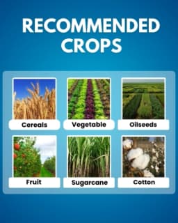 Katyayani Gibberellic Acid 0.001% L Plant Growth Regulator Liquid, Suitable for Drip and Foliar Spray 4