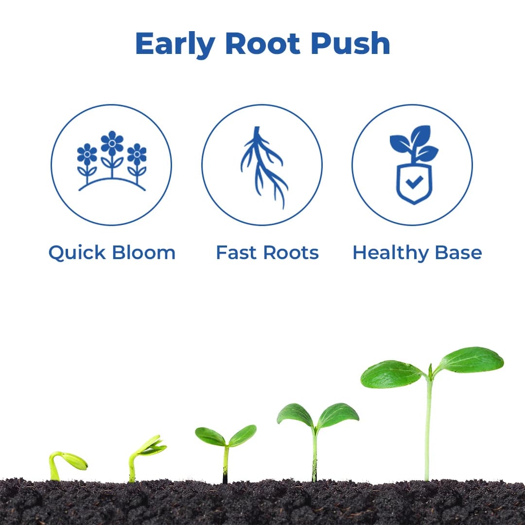 ICL Select MAP NP 12:61:0 - Mono Ammonium Phosphate - Image 3