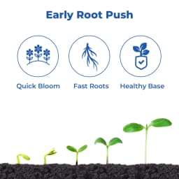 ICL Mono Ammonium Phosphate (12:61:00) Water Soluble Fertilizer and Recommended Using For Drip Fertigation or Foliar Spray 3