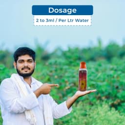 Willowood Willo-Mite Propargite 57% EC Insecticide, all Type of Mite Controller, Use for Tea, Brinjal, Chili and Apple 5