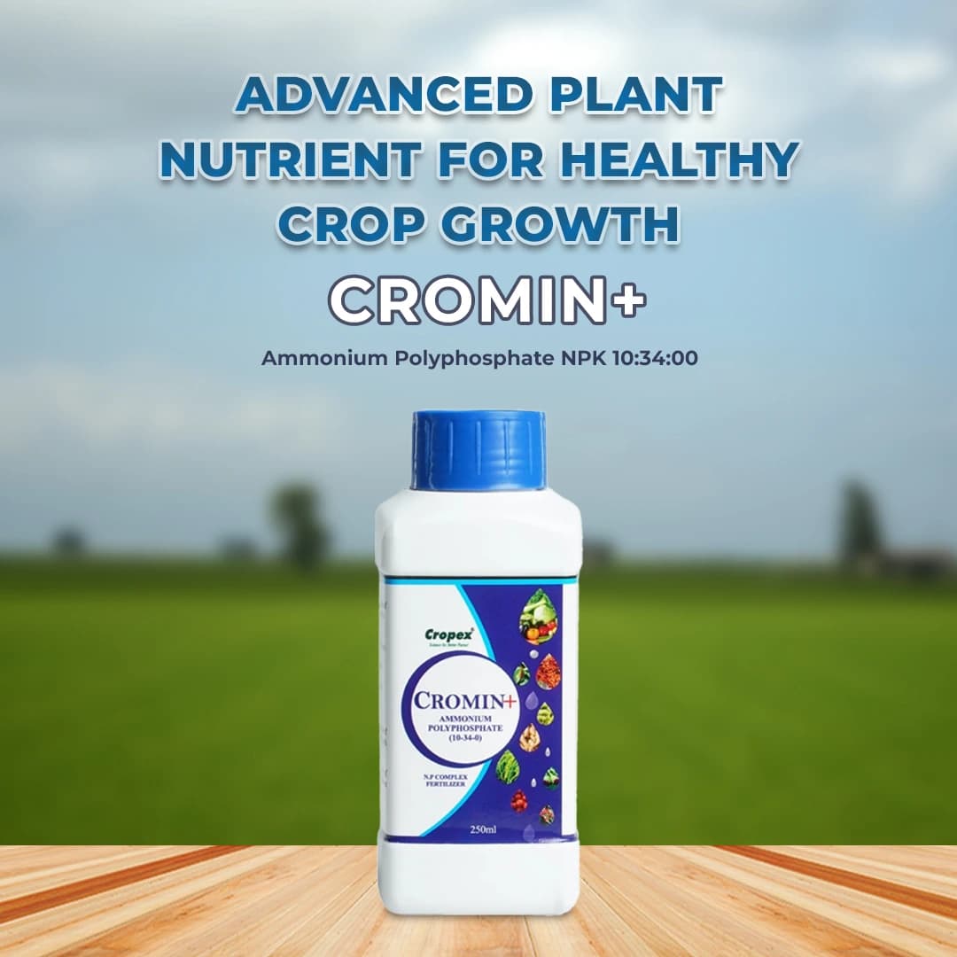 Cromin+ Ammonium Polyphosphate NPK 10:34:00 , Excellent Liquid Phosphatic Fertilizer - Image 2