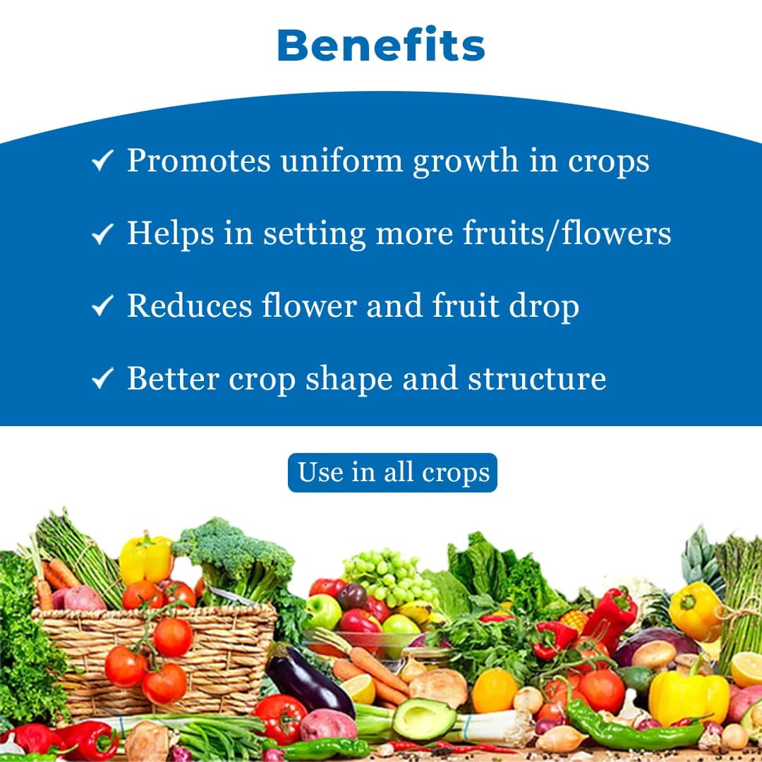 रामसाइड्स ऑलविन गोल्ड सुपर पौध वृद्धि नियामक, विशेष रूप से सब्जी फसलों में उपयोग किया जाता है - Image 4