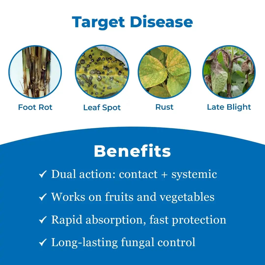 Katyayani Elpi Mancozeb 64% Cymoxanil 8% Wp Fungicide For Plants Control Downy Mildew Late Blight - Image 3