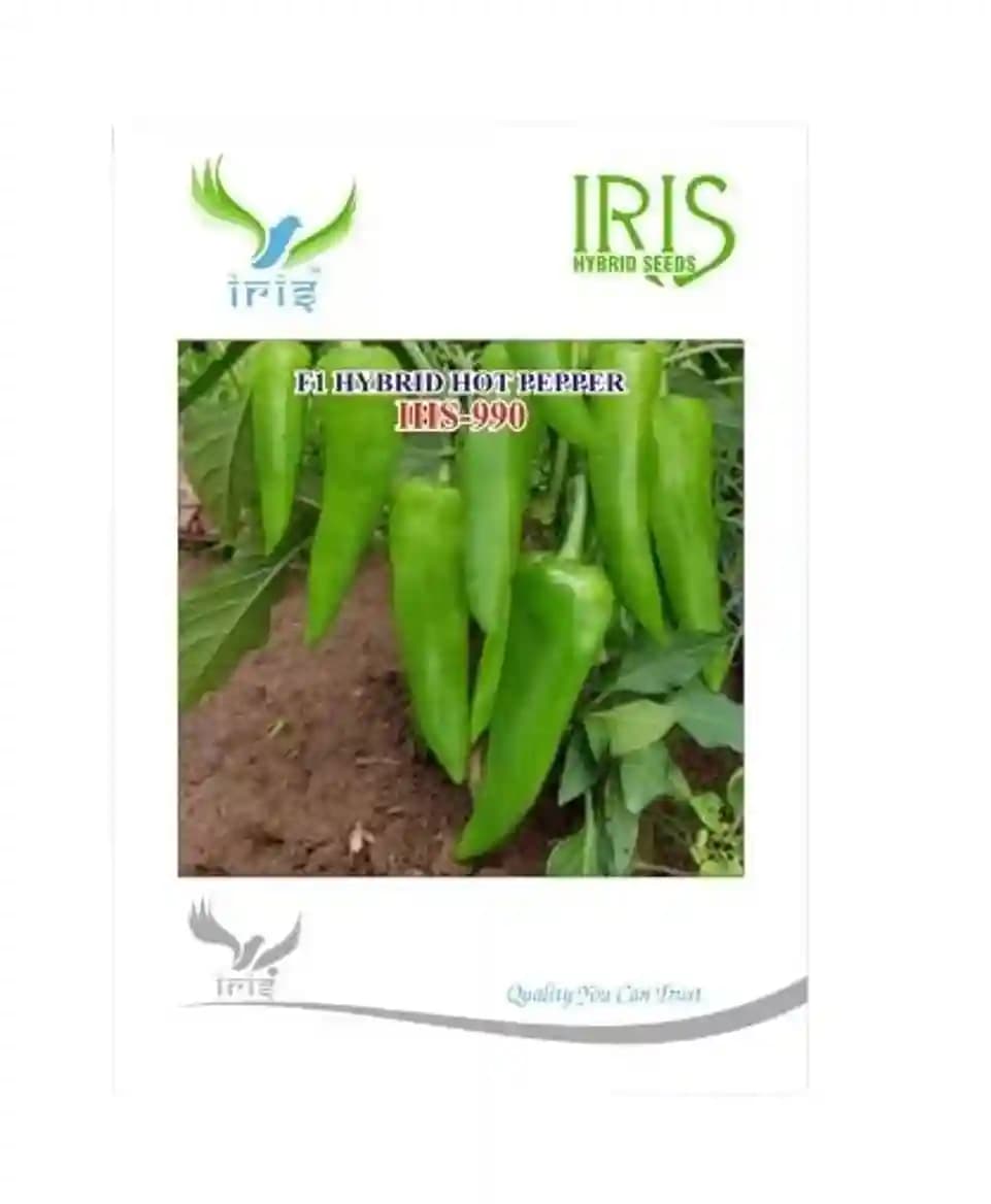 Iris Hybrid Vegetable Seeds F1 Hot Pepper (Chilli) IHS 990, Light Green And Red Color, Achari Variety - Image 1
