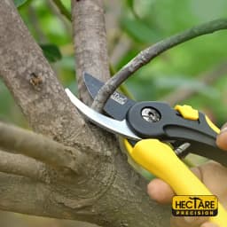 Hectare Precision Garden Pruning Secateur (Bypass Pruner), Plant Cutter For Home Garden, Ensures Smooth And Clean Cuts For Green And Soft Branches. 6