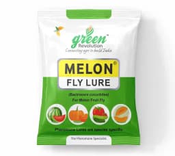 IPM Trap With Melon Fly Pheromone Lure For Controlling Bactrocera Cucurbitae. For Cucumber, Bottle Gourd, Bitter Gourd, Pumpkin, Water Melon 3
