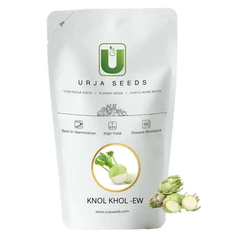 Urja Agriculture Company Knol-Khol Earliest White Seeds, Light Green And Smooth Skin - Image 1