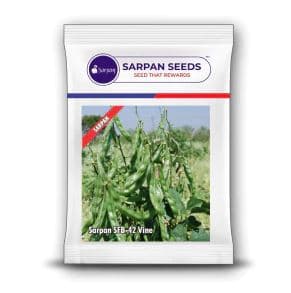 Sarpan SFB-42 Vine, Hybrid Dolichos Seeds, Dolichos Bean, Lobia Seeds, Long Fruit - Image 2
