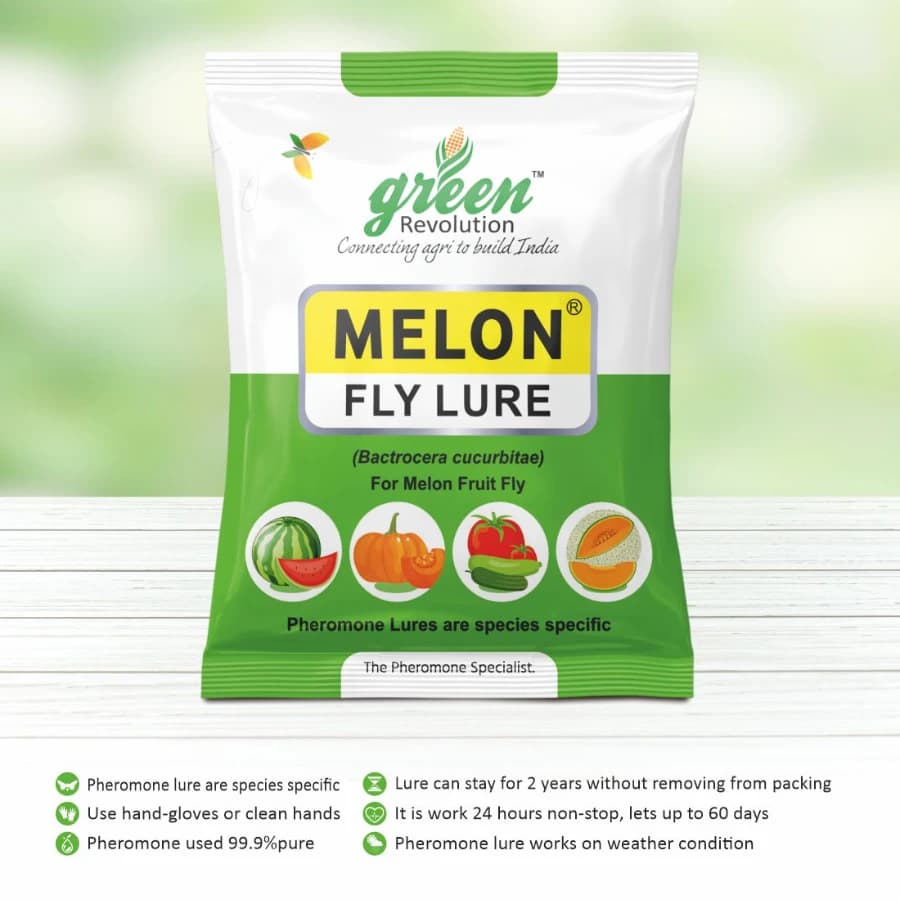 Green Revolution Yellow IPM Trap With Melon Fly Lure, Effective For Fly Control In Vegetable - Image 4