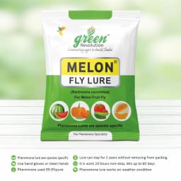 Green Revolution Yellow IPM Trap With Melon Fly Lure, Effective For Fly Control In Vegetable 4