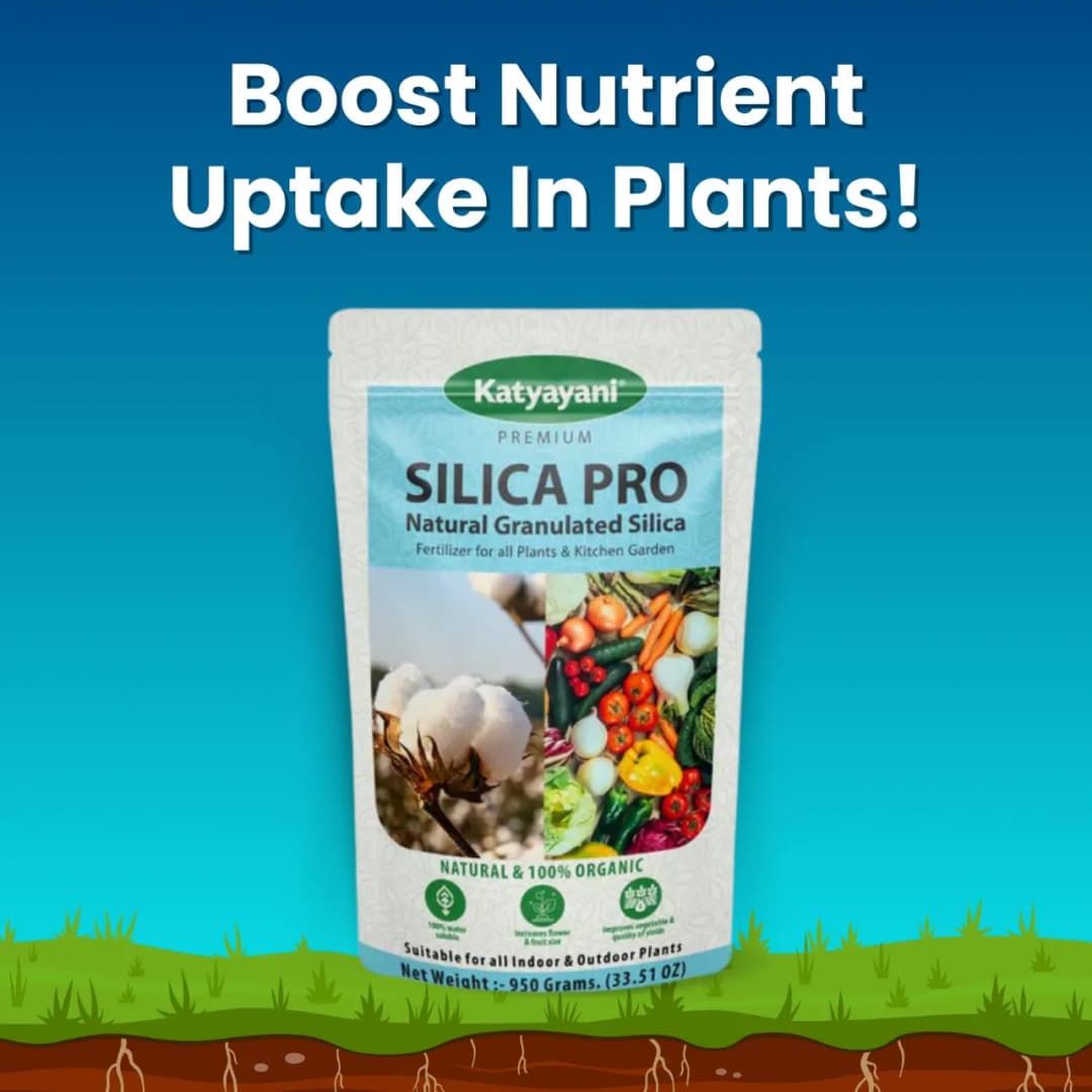 Katyayani Silica Pro Natural Granulated Silica, Organic Fertilizer, Best Solution For Gardening - Image 3