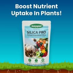 Katyayani Silica Pro Natural Granulated Silica, Organic Fertilizer, Best Solution For Gardening 3