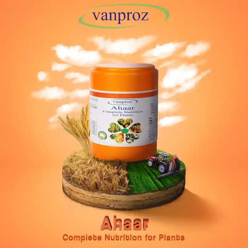 वैनप्रोज़ आहार पौधों के पोषण के लिए (पाउडर), सभी फसलों के लिए, पत्तियों की वृद्धि को बढ़ाता है और नोड्यूलन को उत्तेजित करता है।