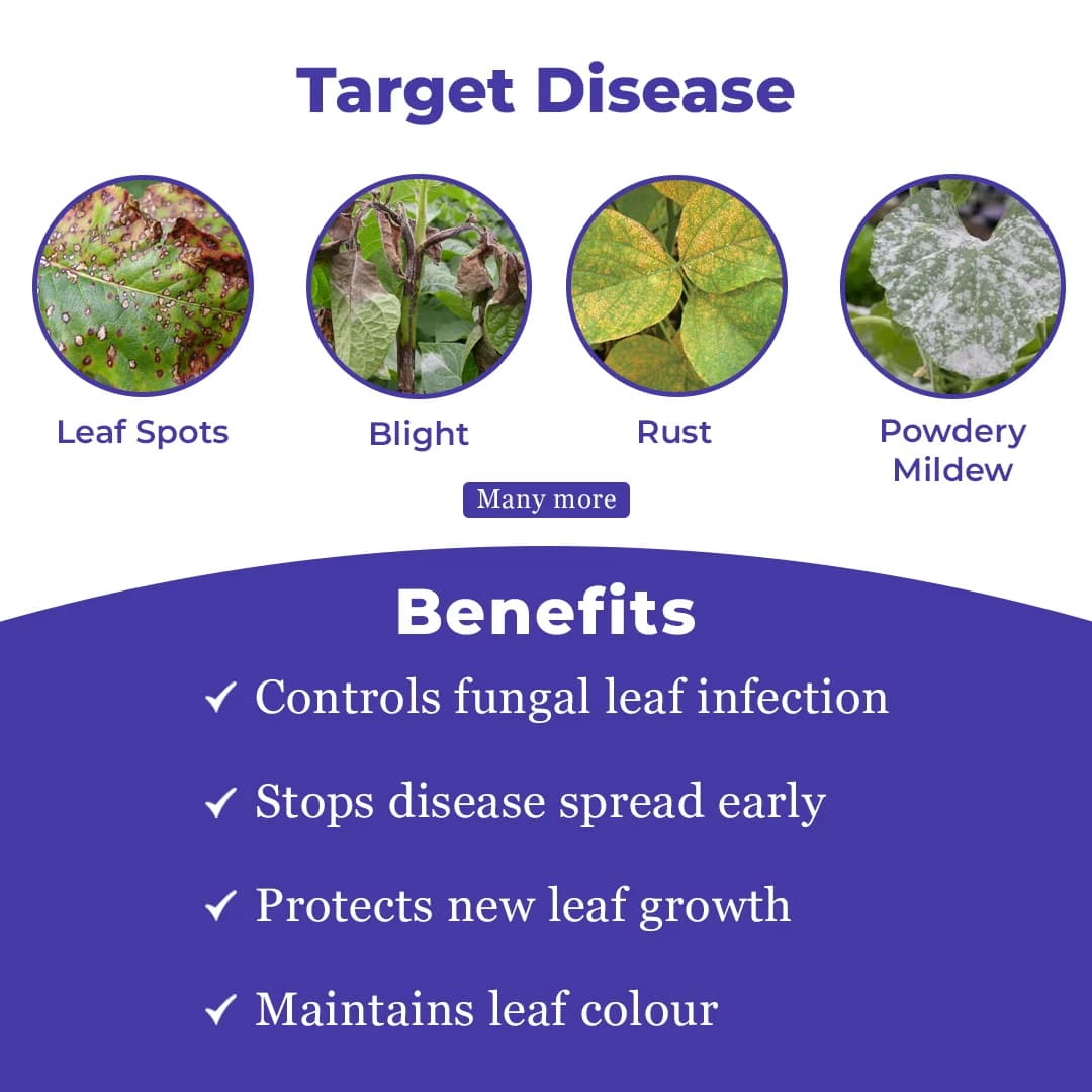 Exylon Helix Fungicide - Hexaconazole 75% WG - Image 3