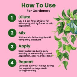 Utkarsh Calcium Nitrate Ca(NO3)2 (100% Water Soluble Fertilizer) For Foliar Spray and Irrigation 4