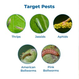 Tata Rallis Jashn Super Profenofos 40% + Cypermethrin 4% E.C Insecticides. 3