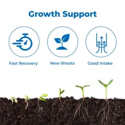 आनंद एमिनो एसिड पाउडर 80% 18 आवश्यक अमीनो एसिड का अनूठा मिश्रण है, क्लोरोफिल की सामग्री को बढ़ाता है। 3