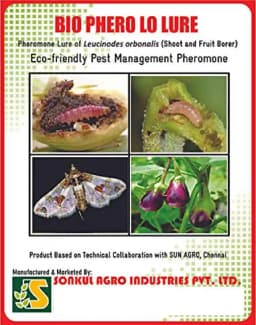 Sonkul Agro Industries Combo of BIO PHERO LO (Lucinodes Orbonalis) Lure & Delta Trap For Brinjal Fruit & Shoot Borer 1