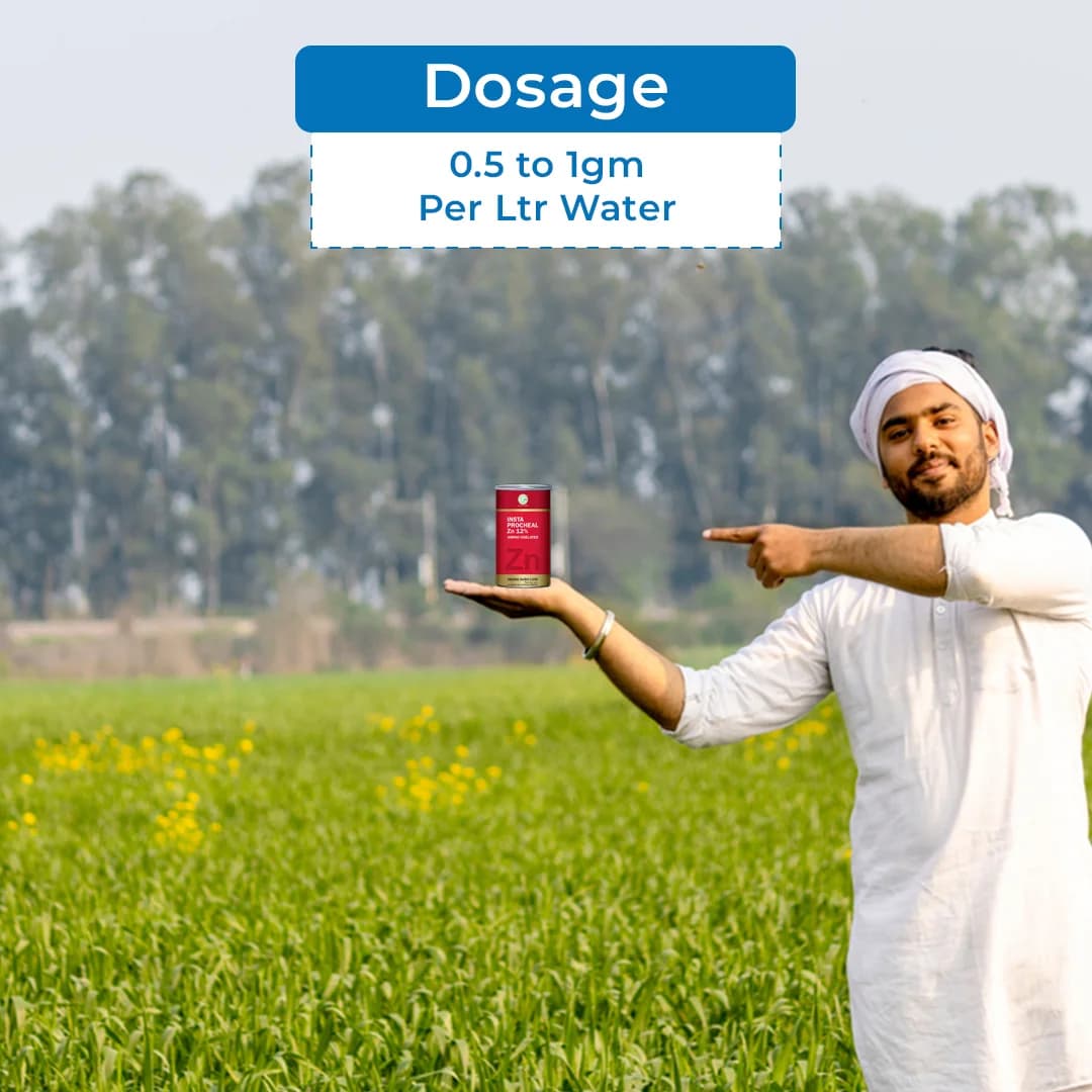 आनंद एग्रो इंस्टा प्रोचियल जिंक 12%, अमीनो चीलेटेड जिंक पाउडर, कृषि पत्तेदार उपयोग के लिए सूक्ष्म पोषक तत्व। - Image 5