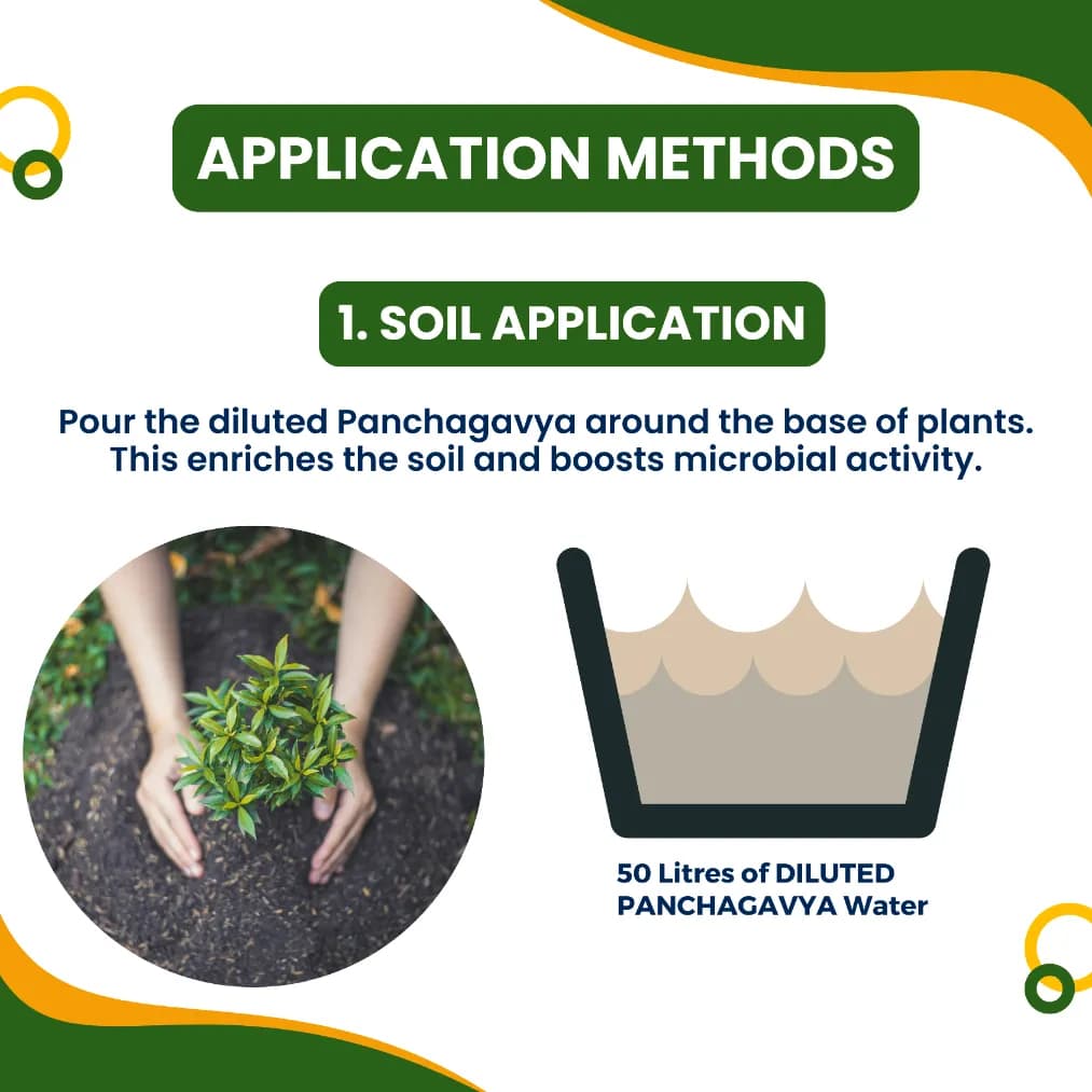 Pasuthai Panchagavya Liquid Plant Growth Promoter, Promotes Healthy plant Growth & Boosts Soil Microbial Activity - Image 6