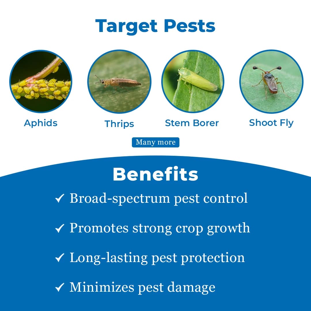 Tata Rallis Tafgor Dimethoate 30% EC Insecticides, Controlling the Sucking and Caterpillar Pests. - Image 3