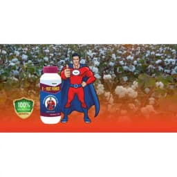 Hpm X-Pert Power Emamectin Benzoate 1.9% EC Insecticide and Acaricide For Crop Protection 3