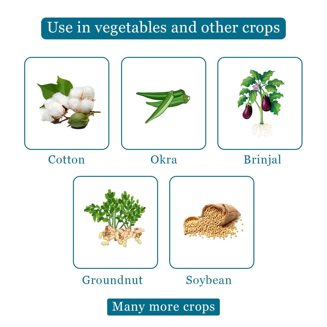 ईबीएस बैसिलस थुरिंजिएंसिस जैव लार्विसाइड, सभी पौधों और घरेलू उद्यान के लिए, पर्यावरण अनुकूल, सभी लेपिडोप्टेरान इल्ली के विरुद्ध प्रभावी - Image 4