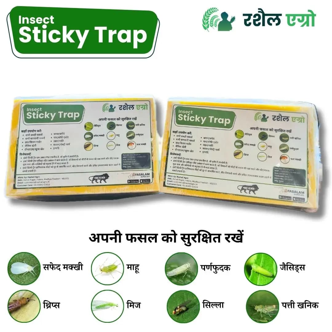 Rashail Insect Stick Trap, IPM Glue Trap - 200 x 300 x 3mm, A4 Size, Combo Of Yellow And Blue Sticky Trap For The Insects (10 Sheets) - Image 3