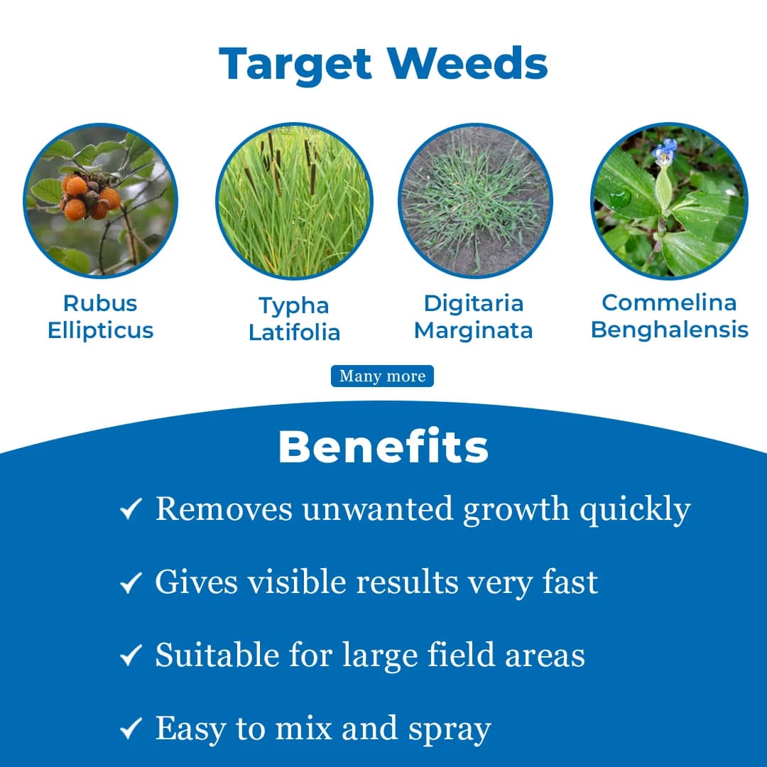 EBS Safaya - Paraquat Dichloride 24% SL, Non Selective Contact Herbicide - Image 3
