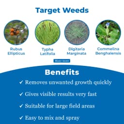 EBS Safaya - Paraquat Dichloride 24% SL, Non Selective Contact Herbicide 3