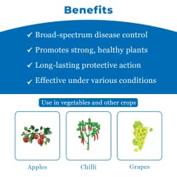 Nagarjuna Index Myclobutanil 10% WP Systemic Fungicide, With Broad Spectrum Activity To Fight Fungal Cell 4