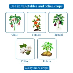 EBS Thiomax Thiamethoxam 25% Wg Insecticide, Broad spectrum Controls Sucking And Chewing Pests In Many Crops 4