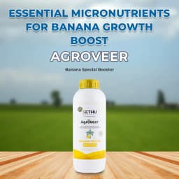 Agroveer Banana Special Booster, ICAR Patented Product, Contains Primary Nutrients, Secondary Nutrients And Micronutrients. 2