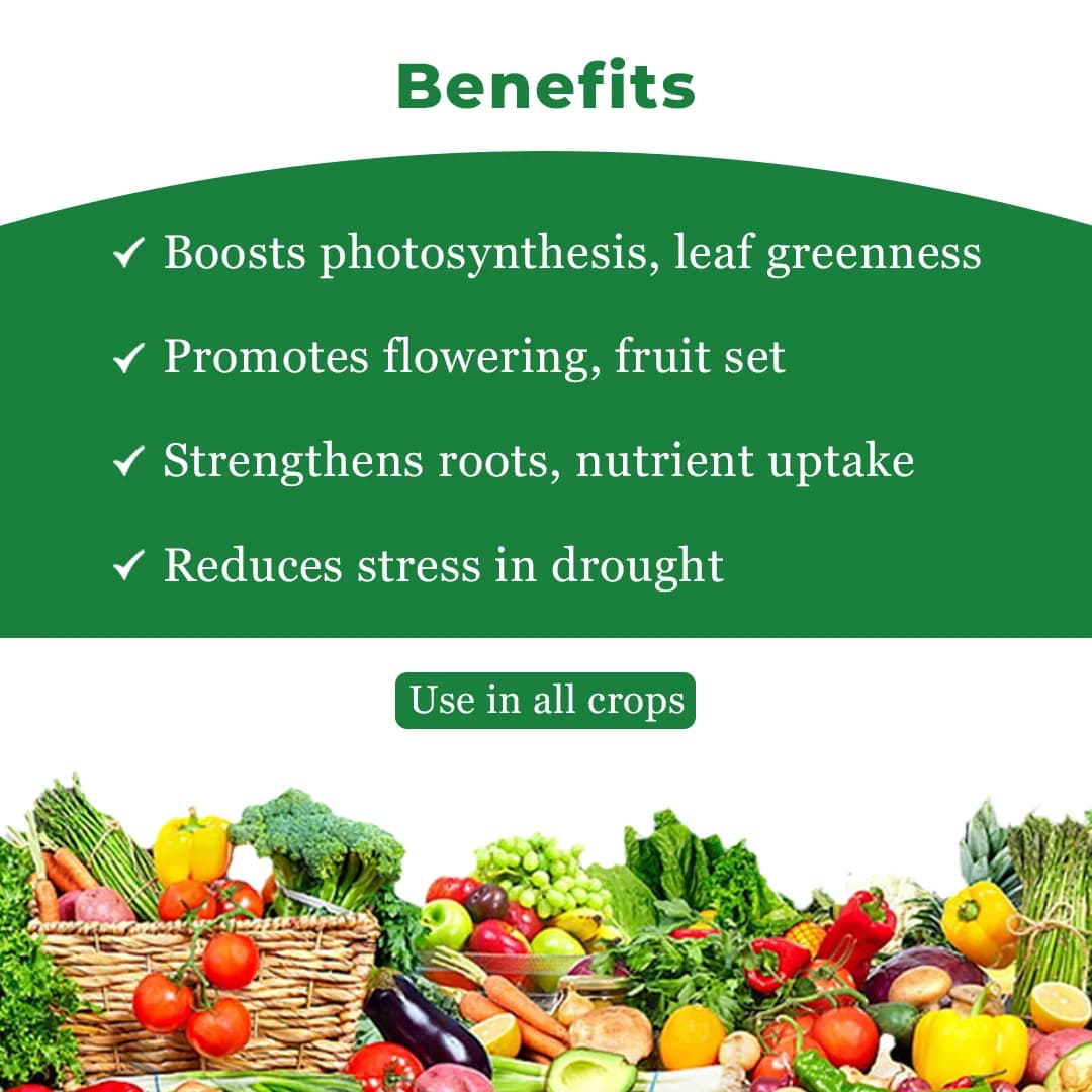 Crop Care GrowMore Triacontanol 0.1% Ew Plant Growth Regulator, Boosting the Plant and Regulating Its Growth - Image 4