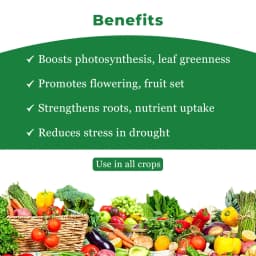 Crop Care GrowMore Triacontanol 0.1% Ew Plant Growth Regulator, Boosting the Plant and Regulating Its Growth 4