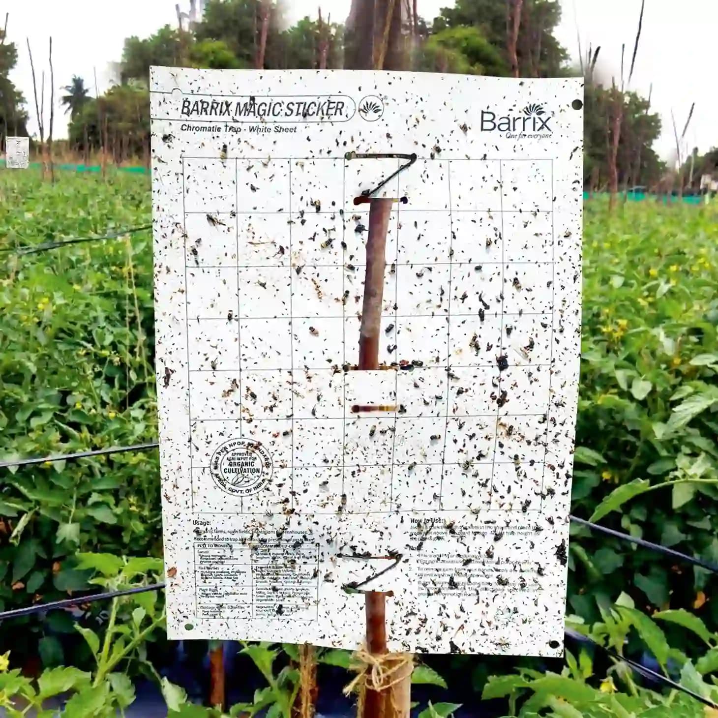 Barrix Magic Sticker - White Sheet, Non-Drying, Non-Fading, Non- Dripping. - Image 5