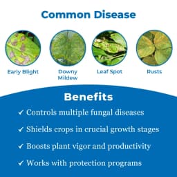 एग्रीवेंचर एज़ोडिफेन (एज़ोक्सीस्ट्रोबिन 18.2% + डिफ़ेनोकोनाज़ोल 11.4% एससी) कवकनाशी 3