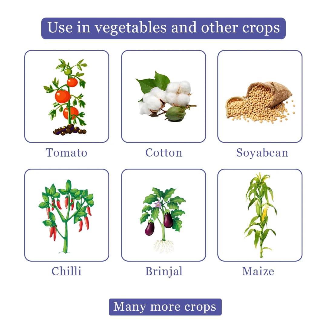 Thiolt 70 - Thiamethoxam 70% WS Powder Insecticide, Systemic Insecticide with Broad-Spectrum Protection - Image 4