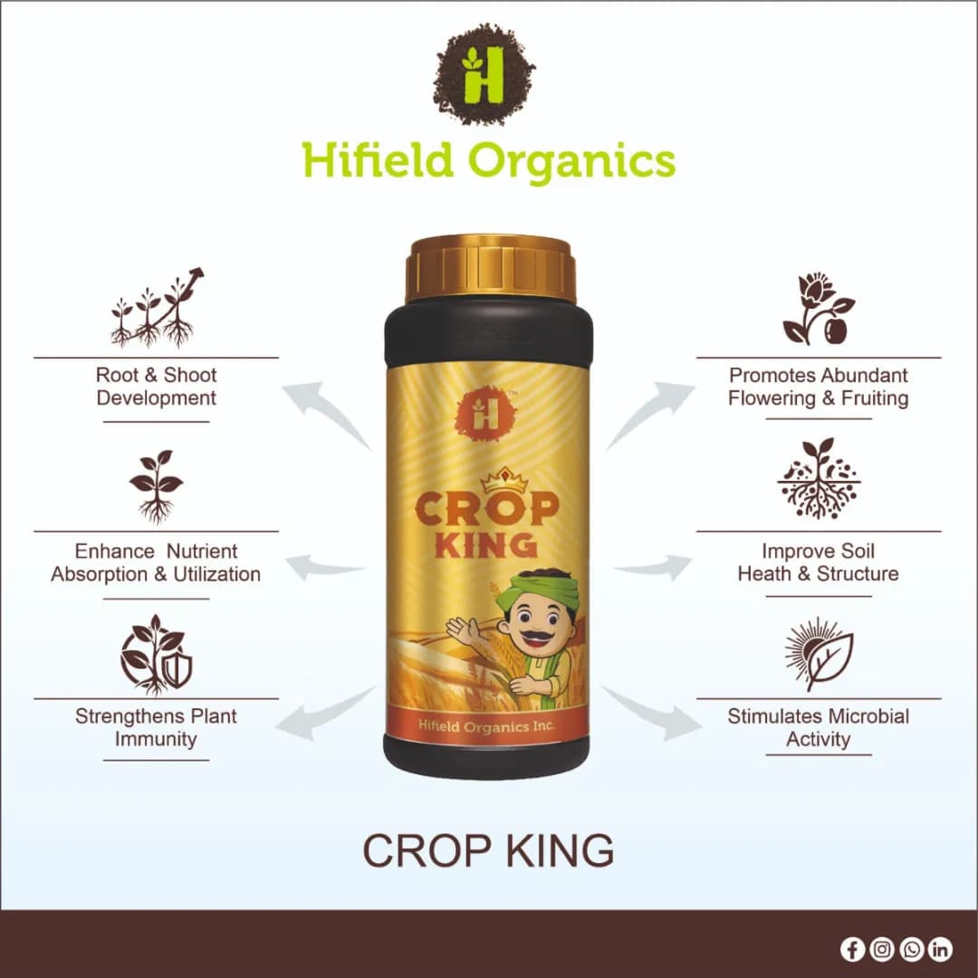 Hifield Crop King High Quality Organic Liquid Biostimulant, Formulated Using Seaweed Extract, Algal Extract, Amino Acids, Proteins, and Vitamins - Image 3