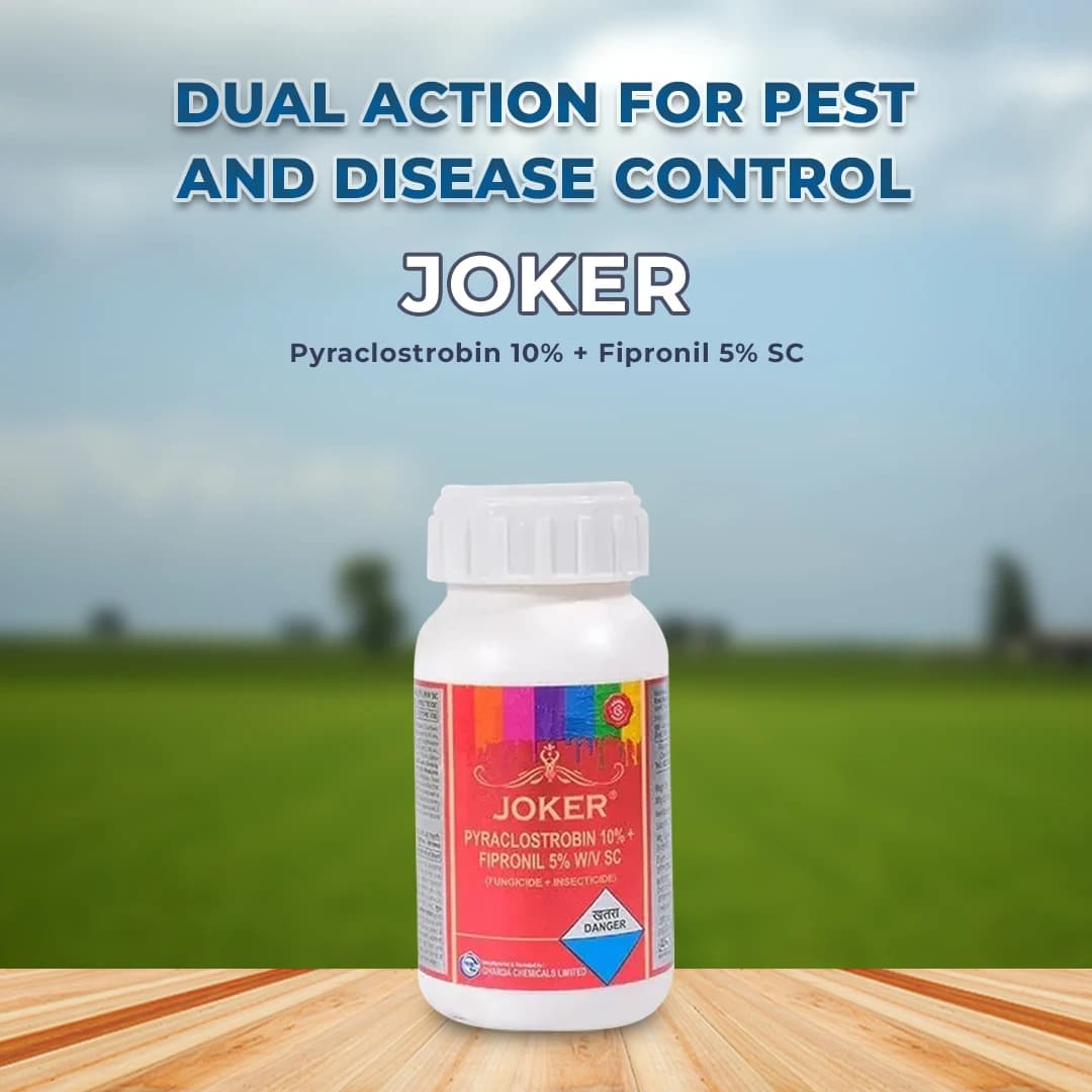 Gharda Joker Pyraclostrobin 10% + Fipronil 5% SC, Target Insect Pests In Chili and Rice - Image 2
