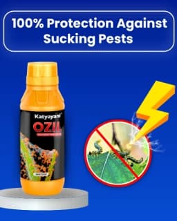 Katyayani Ozil Spiromesifen 22.9% SC Insecticide, Advanced Chemical for Targeted Pest Management 2